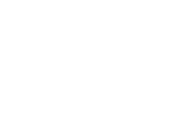 越南网